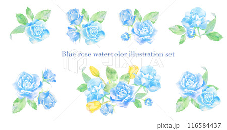 青いバラの花の水彩イラストセット 青いバラの花の水彩イラストセット 116584437