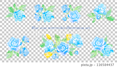 青いバラの花の水彩イラストセット 青いバラの花の水彩イラストセット 116584437