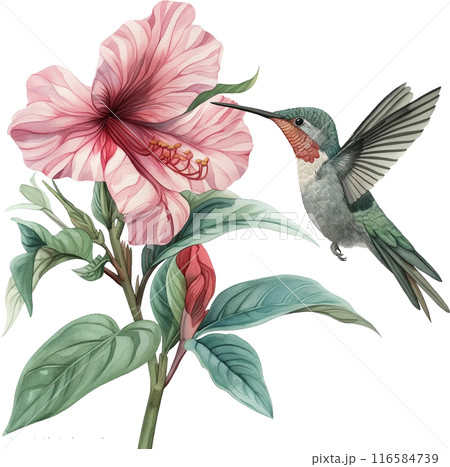 watercolor tropical bird with sea and flowers 116584739