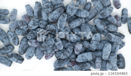 Honeyberry haskap berries isolated on white background Honeyberry haskap berries isolated on white background 116584965