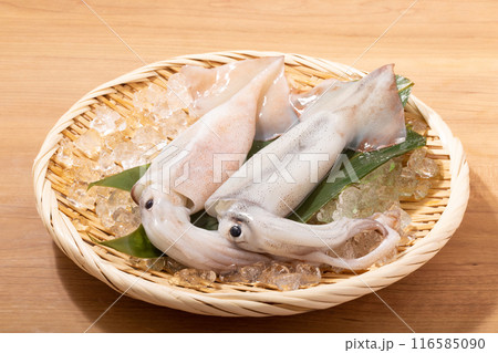 ［青森県産］生　スルメイカ 116585090