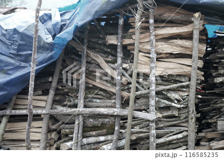 THE WOODEN BACKGROUND outdoor 116585235