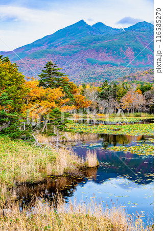 北海道 紅葉の知床五湖　～一湖と知床連山～ 116585270