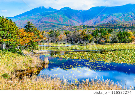北海道 紅葉の知床五湖　～一湖と知床連山～ 116585274