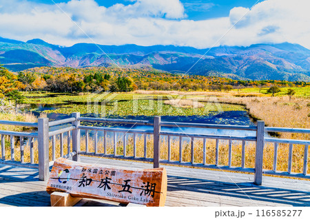 北海道 紅葉の知床五湖　～一湖と知床連山～ 116585277