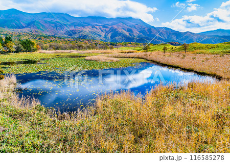 北海道 紅葉の知床五湖　～一湖と知床連山～ 116585278