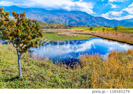 北海道 紅葉の知床五湖　～一湖と知床連山～ 116585279