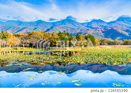 北海道 紅葉の知床五湖　～水鏡の一湖と知床連山～ 116585290