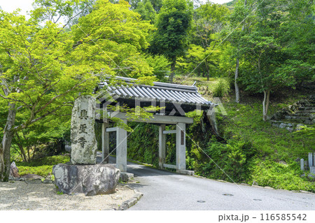 興聖寺　石門と琴坂（京都府宇治市） 116585542
