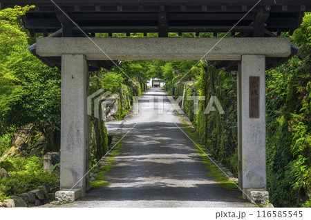 興聖寺 石門と琴坂(京都府宇治市) 興聖寺 石門と琴坂(京都府宇治市) 116585545