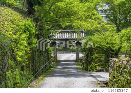 興聖寺　石門と琴坂（京都府宇治市） 116585547