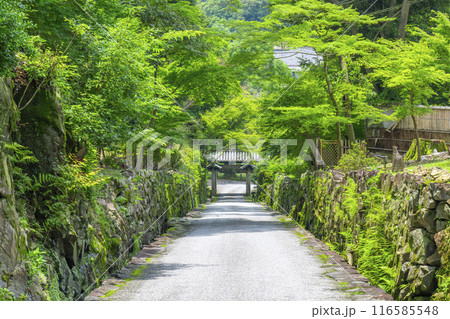 興聖寺 石門と琴坂(京都府宇治市) 興聖寺 石門と琴坂(京都府宇治市) 116585548