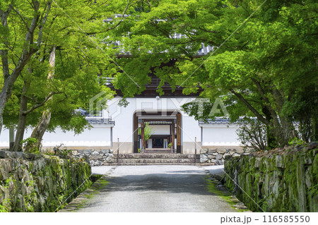 興聖寺　琴坂と龍宮門（京都府宇治市） 116585550