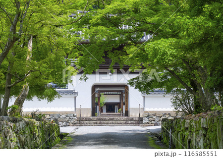 興聖寺　琴坂と龍宮門（京都府宇治市） 116585551