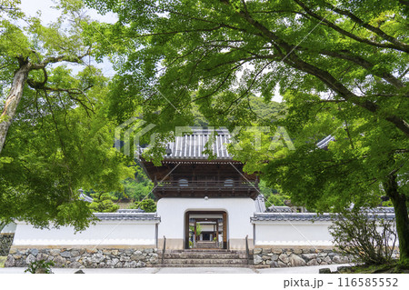 興聖寺 琴坂と龍宮門(京都府宇治市) 興聖寺 琴坂と龍宮門(京都府宇治市) 116585552