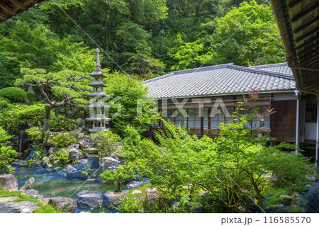 興聖寺 大書院前庭園(京都府宇治市) 興聖寺 大書院前庭園(京都府宇治市) 116585570