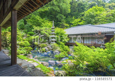 興聖寺　大書院前庭園（京都府宇治市） 116585571