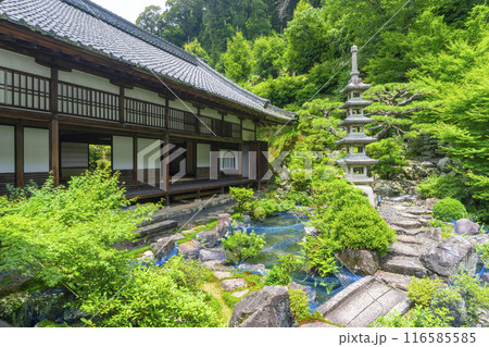 興聖寺 大書院前庭園(京都府宇治市) 興聖寺 大書院前庭園(京都府宇治市) 116585585