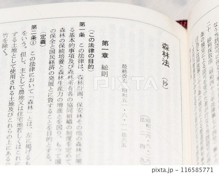 森林法 法文 森林法 法文 116585771