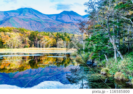 北海道 紅葉の知床五湖 ~水鏡の二湖と知床連山~ 北海道 紅葉の知床五湖 ~水鏡の二湖と知床連山~ 116585800