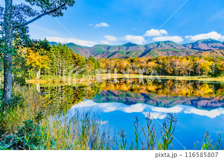 北海道 紅葉の知床五湖　～水鏡の二湖と知床連山～ 116585807
