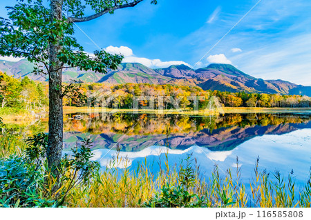 北海道 紅葉の知床五湖　～水鏡の二湖と知床連山～ 116585808
