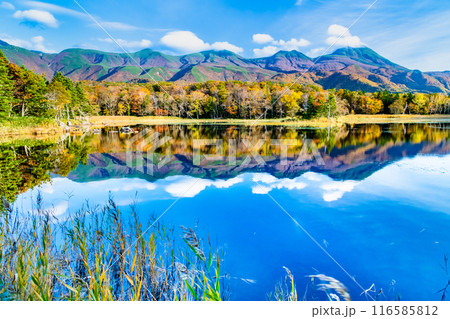 北海道 紅葉の知床五湖 ~水鏡の二湖と知床連山~ 北海道 紅葉の知床五湖 ~水鏡の二湖と知床連山~ 116585812