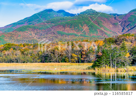 北海道 紅葉の知床五湖　～水鏡の二湖と知床連山～ 116585817