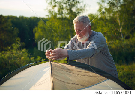 Medium shot of senior Caucasian tourist setting camp tent fixing poles, copy space 116585871