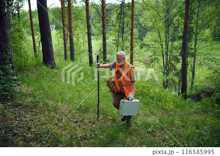 High angle view long shot of senior Caucasian ecologist wearing safety vest holding wooden stick and suitcase walking along mountain forest 116585995
