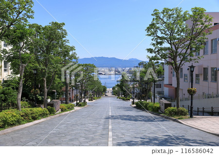 函館₋八幡坂③ 116586042