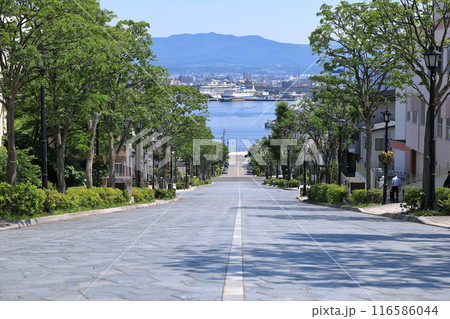 函館₋八幡坂④ 116586044