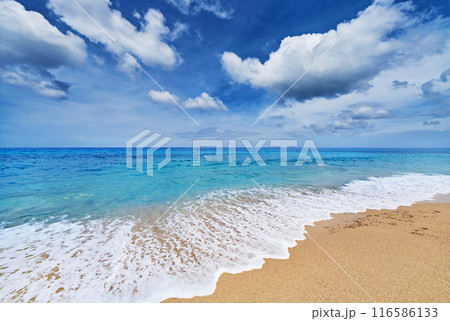 Agios Ioannis beach on the Lefkada island, Greece 116586133
