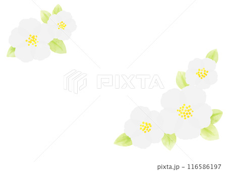 フラワー　白　フレーム　手描き 116586197