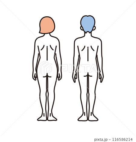 シンプル　イラスト　女性と男性のヌードの全身の後ろ姿 116586214