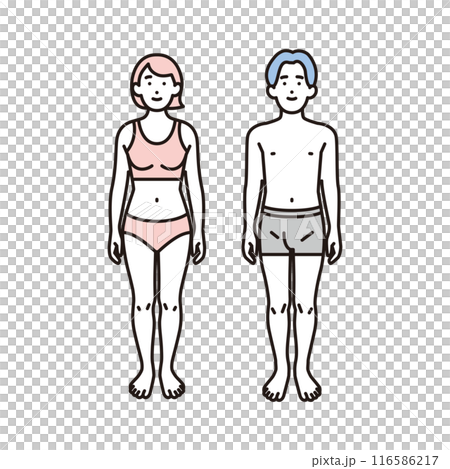 穿著內衣的男人和女人的簡單插圖全身前視圖 116586217