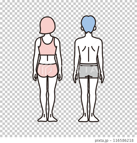 シンプル　イラスト　下着の男女の全身　後ろ姿 116586218