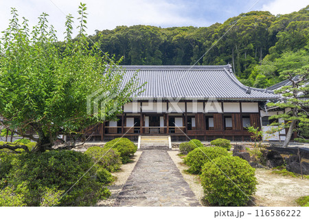 興聖寺 本堂前庭園(京都府宇治市) 興聖寺 本堂前庭園(京都府宇治市) 116586222