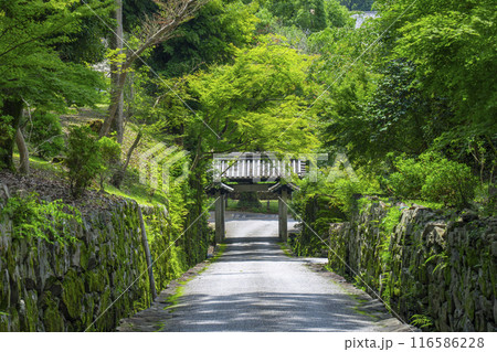 興聖寺　琴坂と石門（京都府宇治市） 116586228