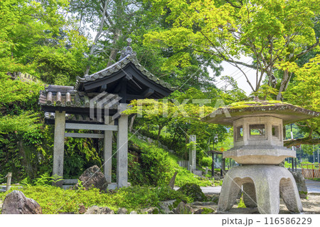 興聖寺　琴坂と石門（京都府宇治市） 116586229