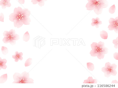 桜 水彩風 フレーム 桜 水彩風 フレーム 116586244