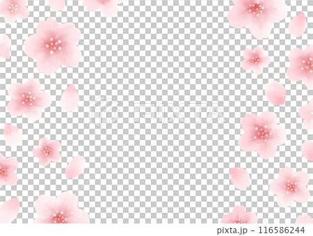 櫻花水彩風格框架 116586244