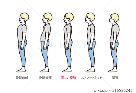 シンプル　イラスト　正しい姿勢と悪い姿勢の横向き全身セットイラスト 116586249