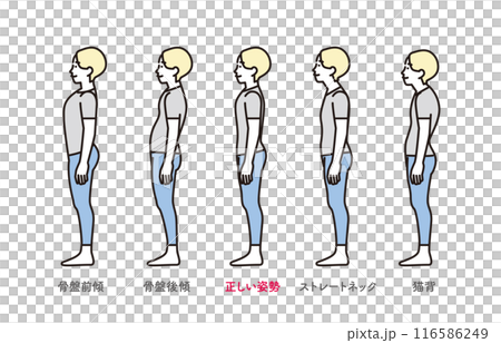 シンプル　イラスト　正しい姿勢と悪い姿勢の横向き全身セットイラスト 116586249