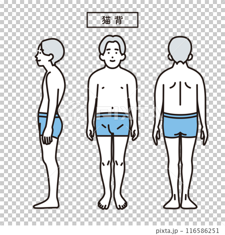 シンプル　イラスト　猫背の人物の全身 116586251