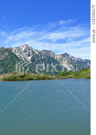 八方池と白馬三山 116586275