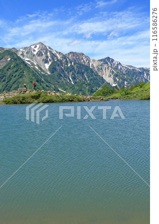 八方池と白馬三山 116586276