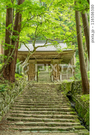 滋賀県東近江市 新緑の百済寺本坊から本堂へ続く大きなわらじのある仁王門 滋賀県東近江市 新緑の百済寺本坊から本堂へ続く大きなわらじのある仁王門 116586380