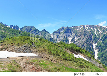 八方尾根から望む夏の北アルプス 八方尾根から望む夏の北アルプス 116586388
