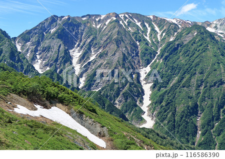 八方尾根から望む夏の北アルプス 116586390
